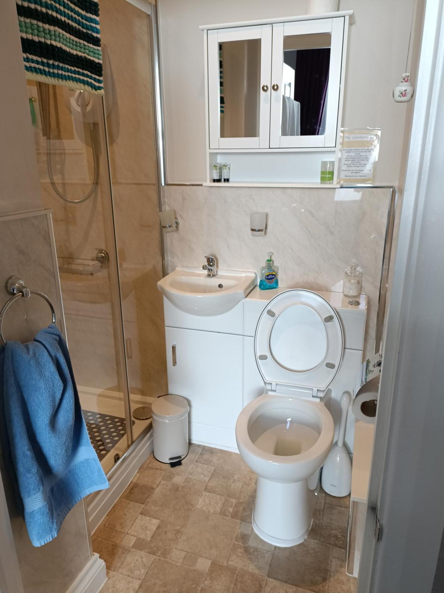Lawnswood Guest House Torquay Dış mekan fotoğraf